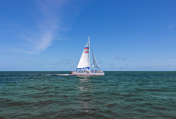 a sailing catamaran