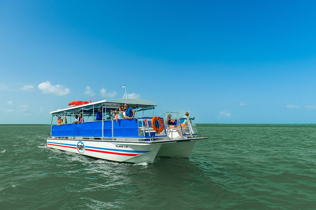 Scenic kayak tour and eco-cruise with Fury Water Adventures