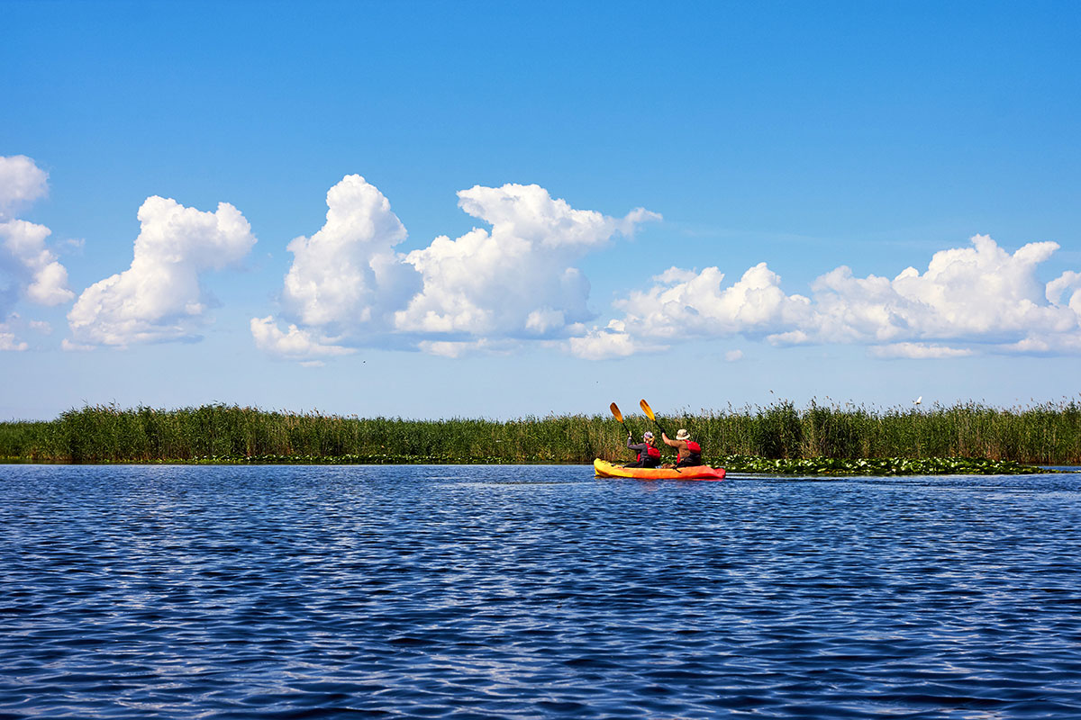 Scenic kayak tour and eco-cruise with Fury Water Adventures