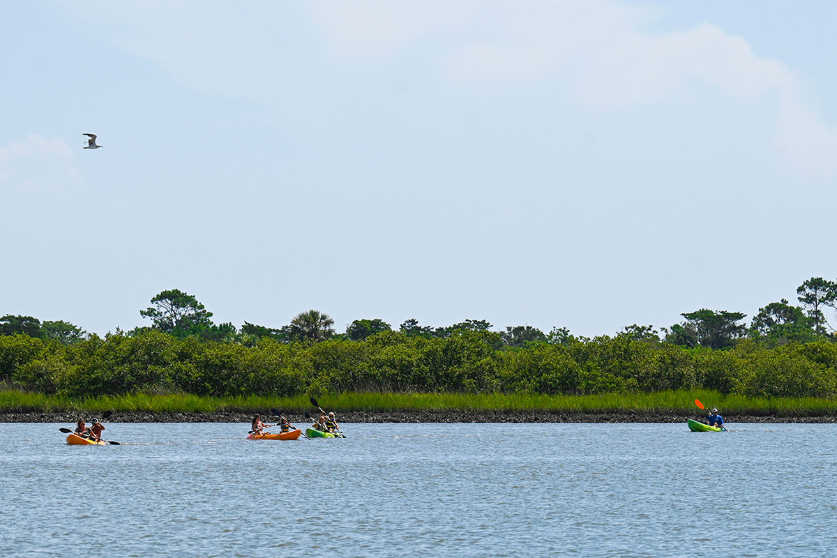 Fury St. Augustine Wildlife Adventure Boat Cruise & Kayak Eco Tour