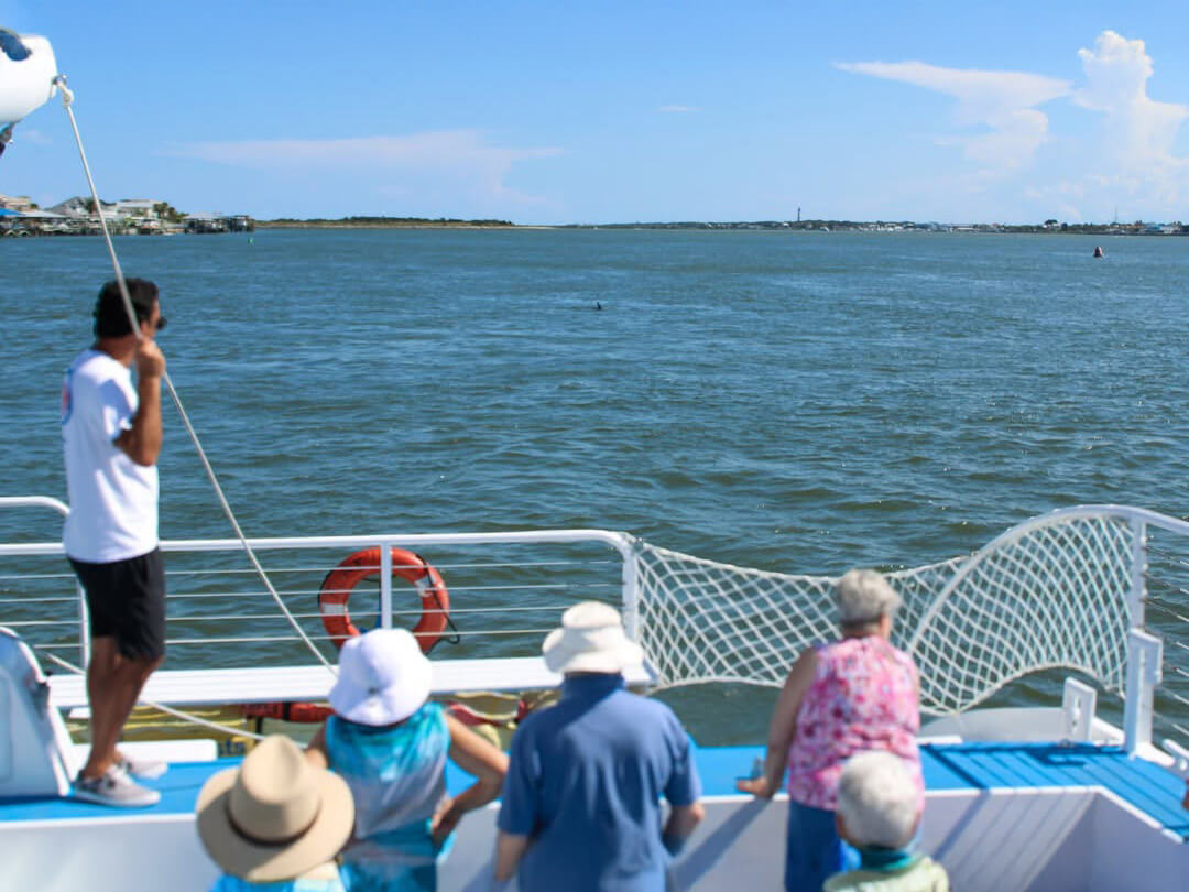 A group of people stand on a boat deck looking out over open water while a guide points toward something in the distance.