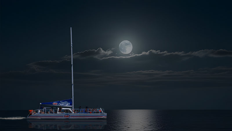 Fury vessel on an After Dark Live Music Cruise