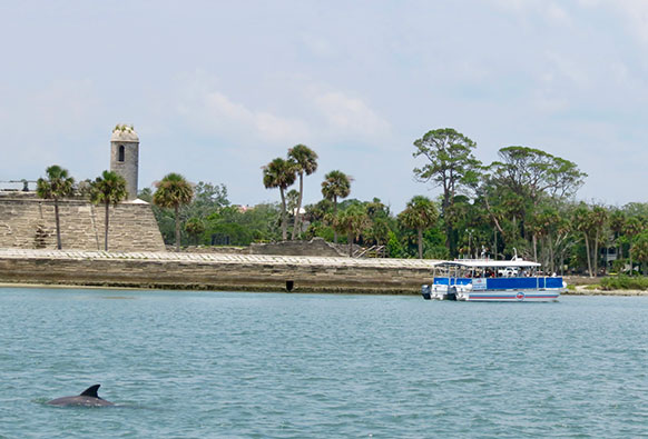 water and dolphin cruise