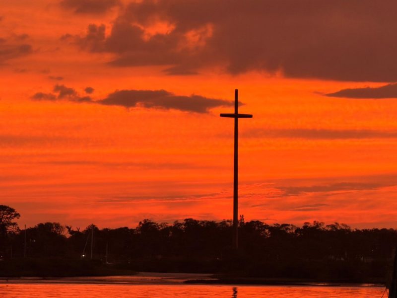 Dolphin-Sunset-Cruise